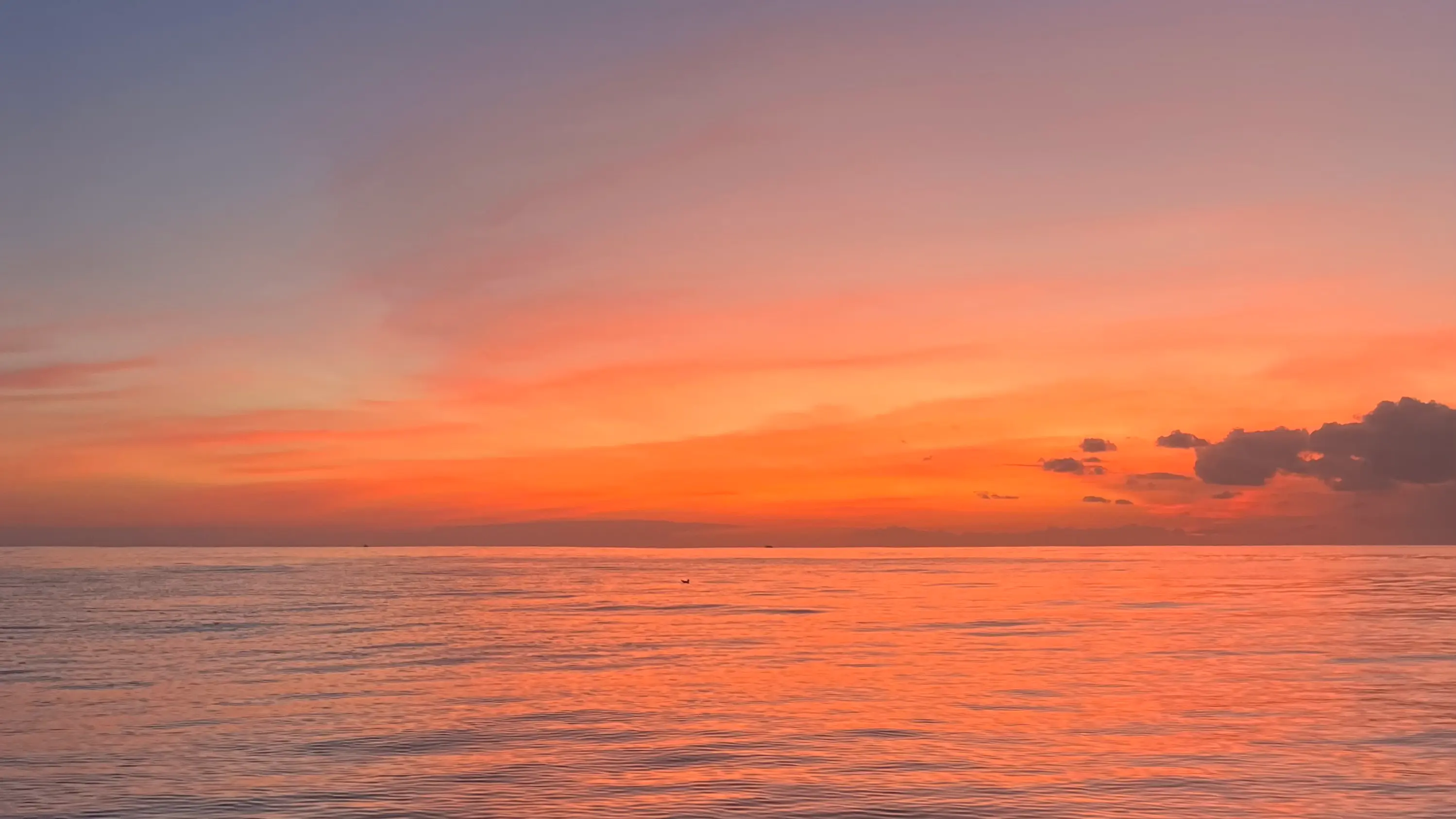 Coucher de soleil — sortie balade à Saint-Jean-de-Luz