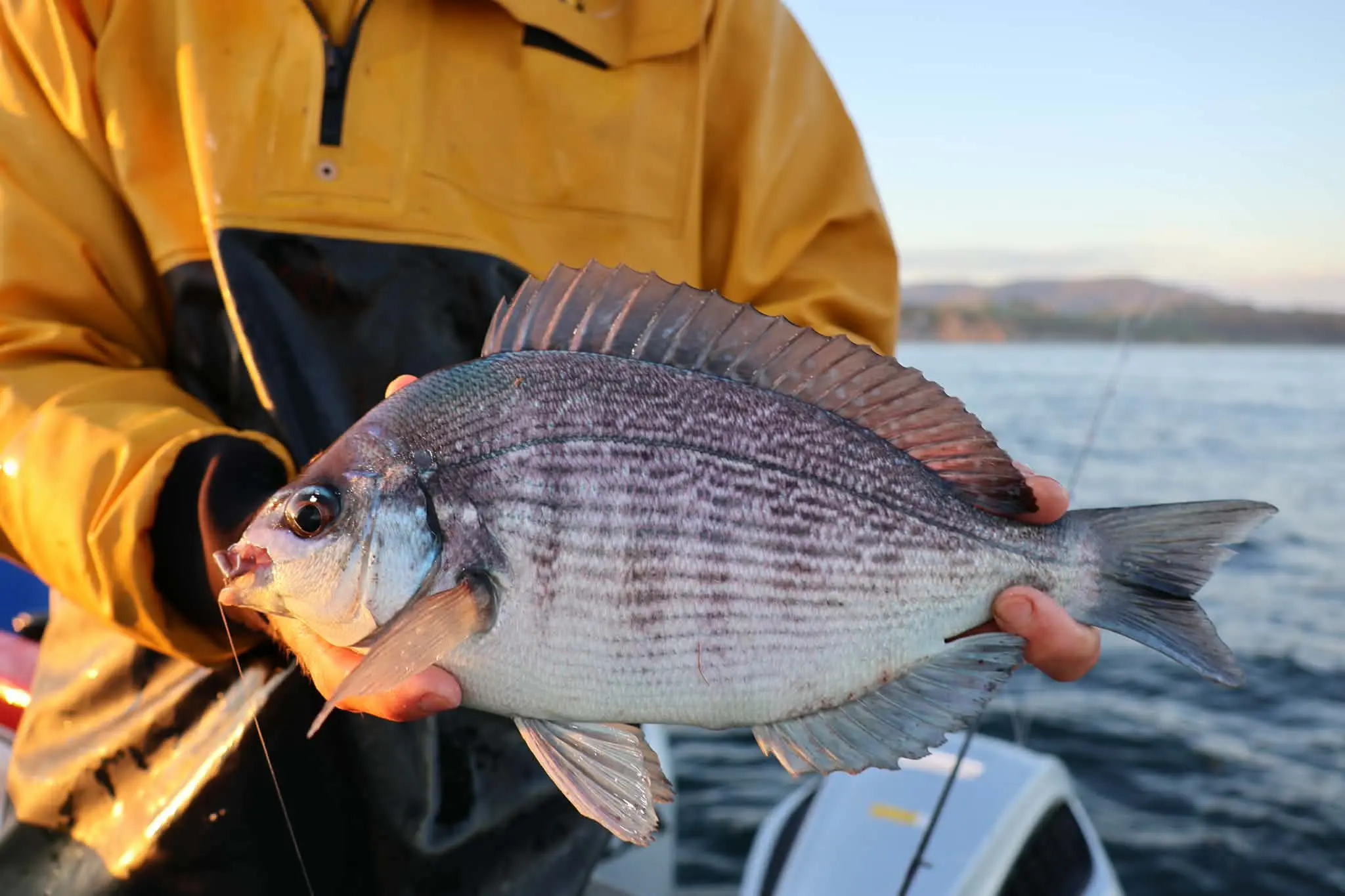 Pêche découverte — sortie pêche à Saint-Jean-de-Luz